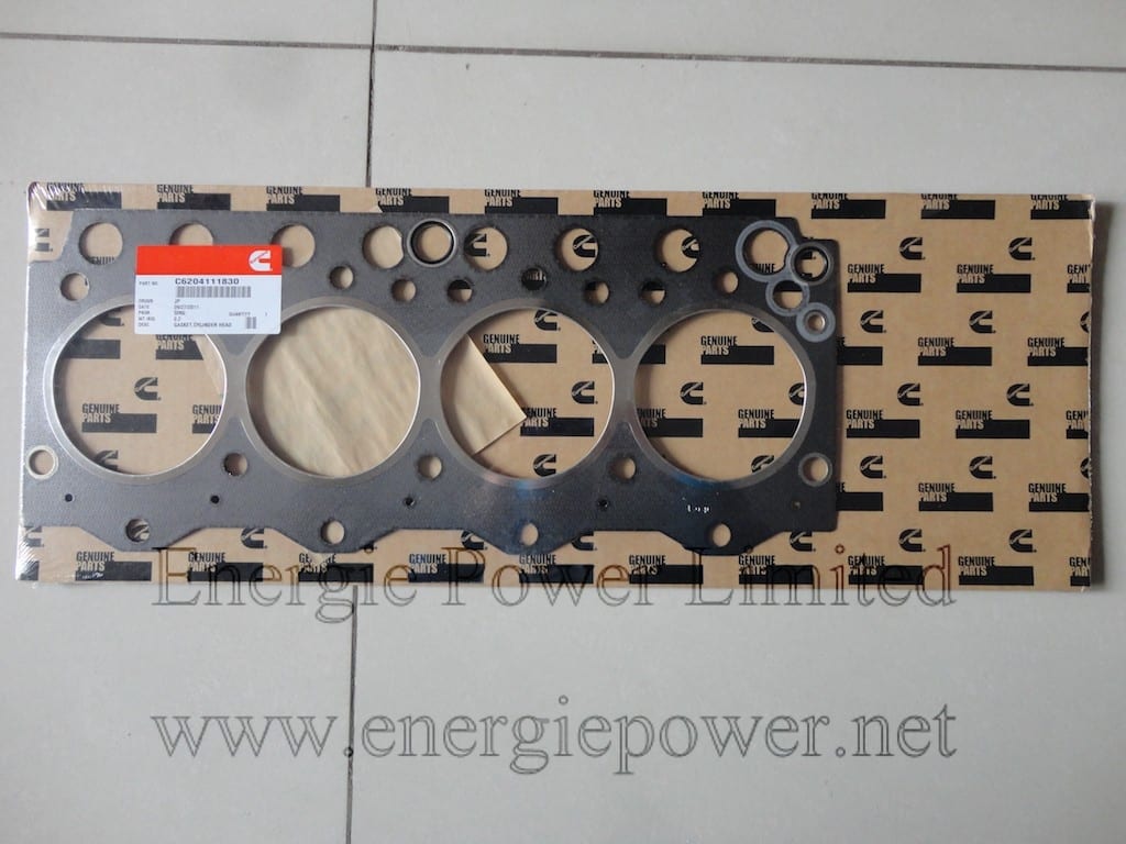 Cylinder Head Gasket-C6204111830