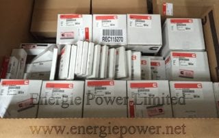 Engine Piston Kit-4089462