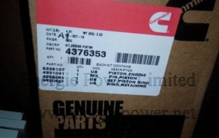 Engine Piston Kit-4376353