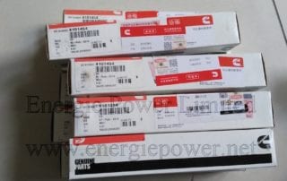 Exhaust Valve-4101454 (3)