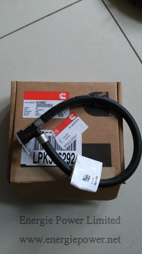 Flexible Hose-5318803