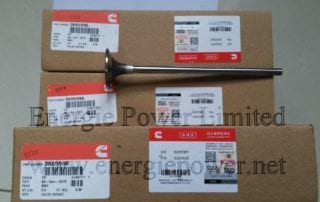 Intake Valve-3685996 (5)