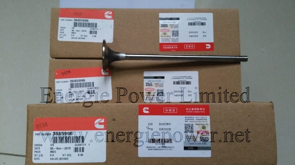 Intake Valve-3685996 (5)