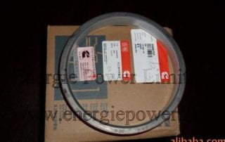Oil Seal-3006737