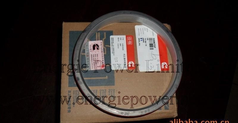 Oil Seal-3006737