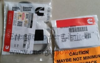 Thermostat Seal-188318