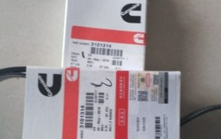 V Ribbed Belt-3101314 (3)