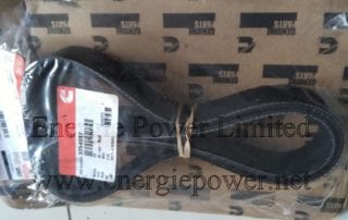 V Ribbed Belt-3254057 (3)