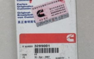 V Ribbed Belt-3289001 (2)