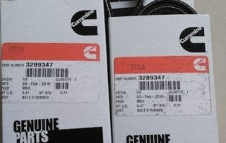 V Ribbed Belt-3289347 (1)