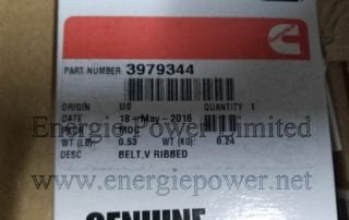 V Ribbed Belt-3979344 (1)