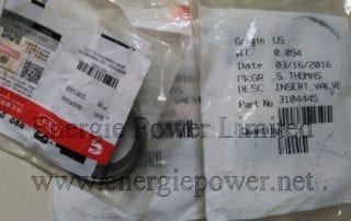 Valve Insert-3104445 (6)