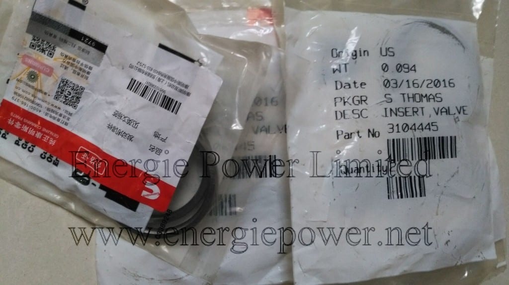 Valve Insert-3104445 (6)