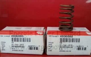Valve Spring-4936080 (2)