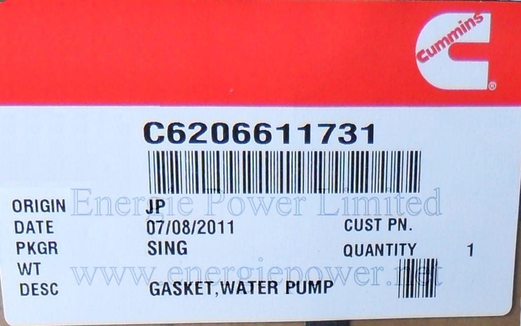 Water Pump Gasket-C6206611731