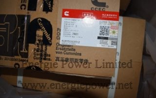 149274-20 Plain Hose