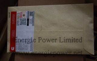 203933-20 Expansion Plug