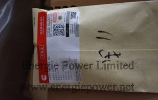 204994-20 Male Connector