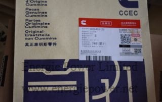 3026426-20 Flange Gasket