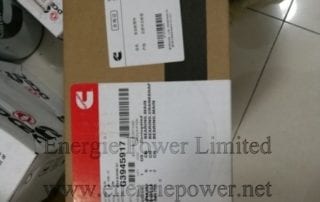 Main-Bearing-Set-3945917