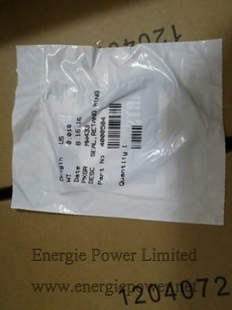 Rectangular-Ring-Seal-4000504