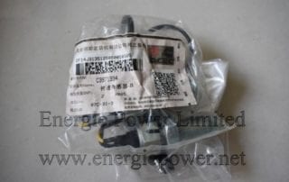 Engine Speed Sensor 3971994