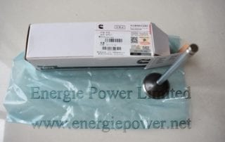 Exhaust Valve 3921444