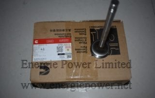 Intake Valve 3803512