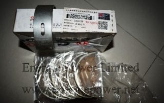 Main Bearing 3944158