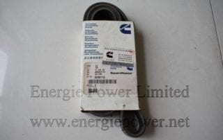 V Ribbed Belt 3289113