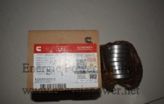 Valve Insert 200354
