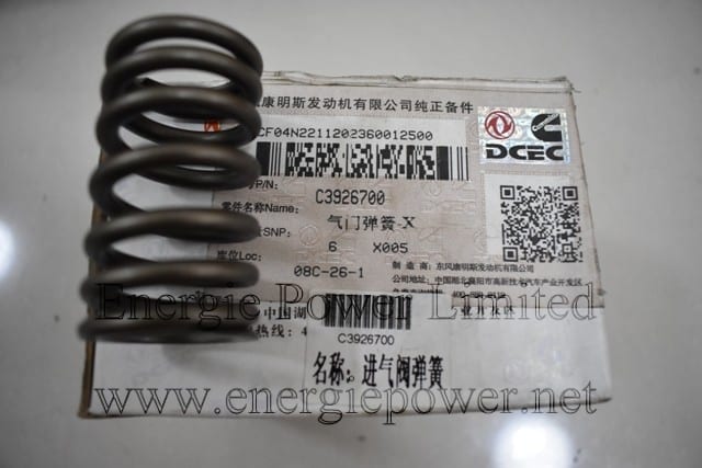 Valve Spring 3926700