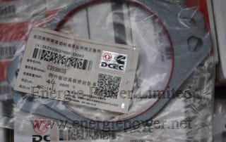 Accessory Drive Cover Gasket 3938655