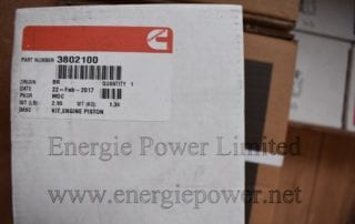 Engine Piston Kit 3802100