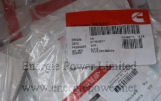 Expansion Plug 3007635