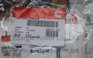 Expansion Plug 3900955