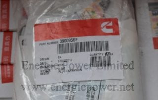 Expansion Plug 3900956