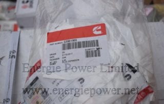 Expansion Plug 3901969