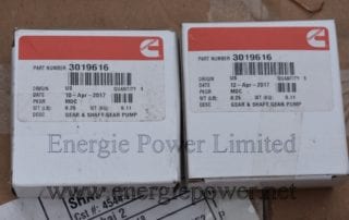 Gear And Shaft 3019616