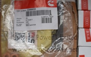 Injector Seal 3906659