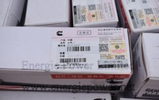 Intake Valve 3924492