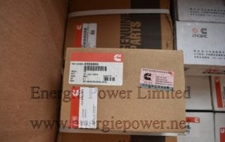 Main Bearing Set 4955855