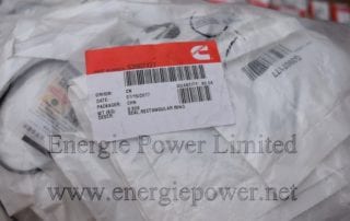 Rectangular Ring Seal 3907177