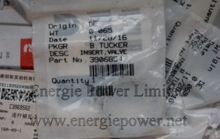 Valve Insert 3906854