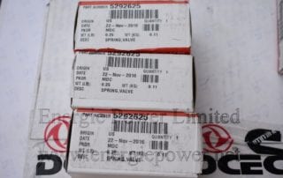 Valve Spring 5292625