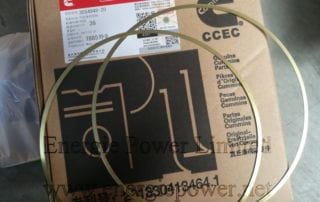 Liner-Seal-Ring-3054948