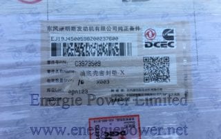 Oil Pan Gasket 3973509
