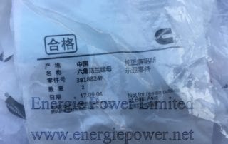 Hexagon Flange Nut 3818824