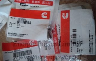 Hexagon Head Cap Screw 3910345