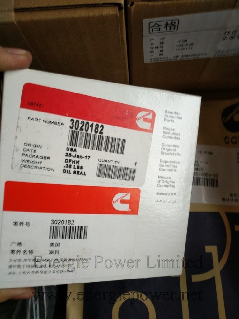 Oil Seal 3020182